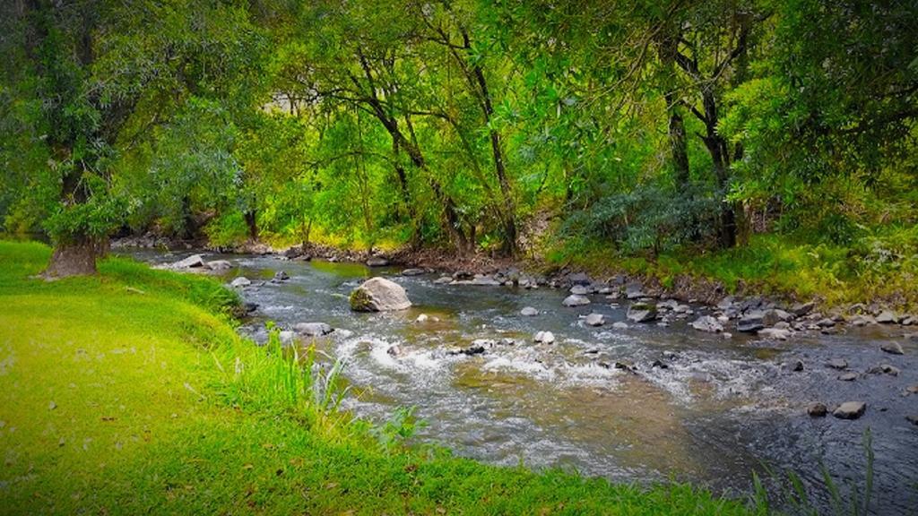 Kwambali Riverside Lodge Hazyview Εξωτερικό φωτογραφία